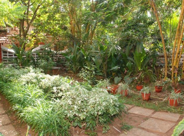 كاندولِم Pinto Guest House المظهر الخارجي الصورة
